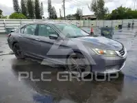 2013 Honda Accord photo