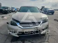 2013 Honda Accord фото