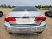2013 Honda Accord photo