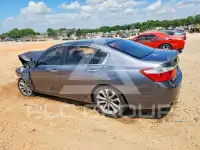 2013 Honda Accord photo