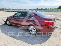 2013 Honda Accord photo