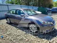 2013 Honda Accord photo