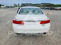 2013 Honda Accord фото