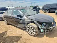 2013 Honda Accord photo