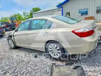 2013 Honda Accord фото
