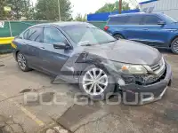 2013 Honda Accord photo