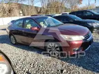 2013 Honda Accord photo