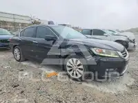 2013 Honda Accord photo