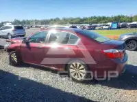 2013 Honda Accord фото