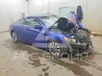 2013 Honda Accord photo