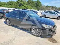 2013 Honda Accord photo