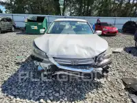 2013 Honda Accord photo