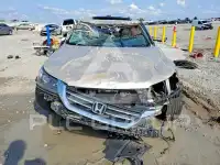 2013 Honda Accord фото