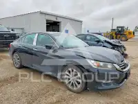 2013 Honda Accord фото