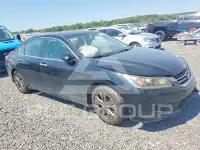 2013 Honda Accord фото