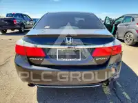 2013 Honda Accord photo