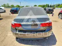 2013 Honda Accord photo