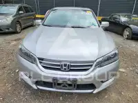 2013 Honda Accord photo