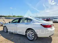 2013 Honda Accord photo