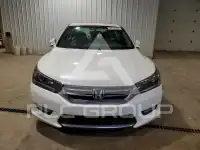 2013 Honda Accord фото