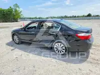 2013 Honda Accord фото