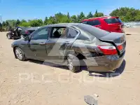 2013 Honda Accord photo