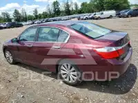 2013 Honda Accord photo