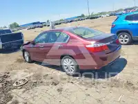 2013 Honda Accord photo