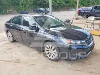 2013 Honda Accord фото