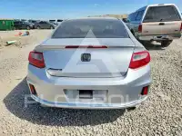 2013 Honda Accord photo