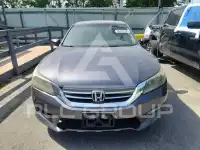 2013 Honda Accord photo