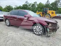 2013 Honda Accord photo