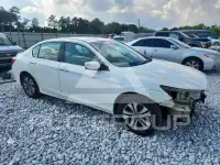2013 Honda Accord photo