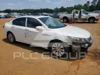2013 Honda Accord photo