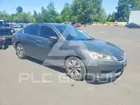 2013 Honda Accord photo