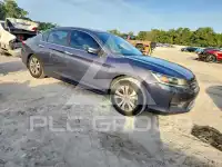 2013 Honda Accord photo