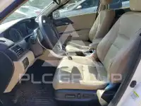 2013 Honda Accord photo