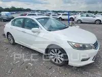 2013 Honda Accord photo