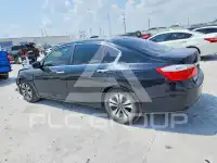 2013 Honda Accord photo