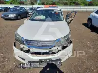 2013 Honda Accord фото