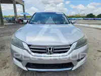 2013 Honda Accord photo