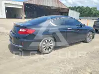 2013 Honda Accord photo