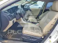 2013 Honda Accord photo