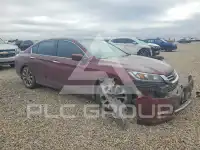 2013 Honda Accord photo