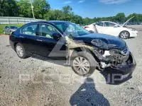 2013 Honda Accord photo