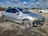 2013 Honda Accord photo