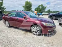 2013 Honda Accord фото