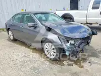 2013 Honda Accord фото