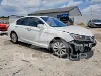 2013 Honda Accord photo