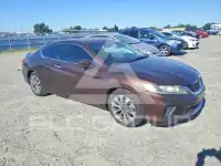 2013 Honda Accord photo